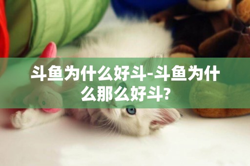 斗魚為什么好斗-斗魚為什么那么好斗?