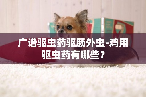 廣譜驅蟲藥驅腸外蟲-雞用驅蟲藥有哪些？