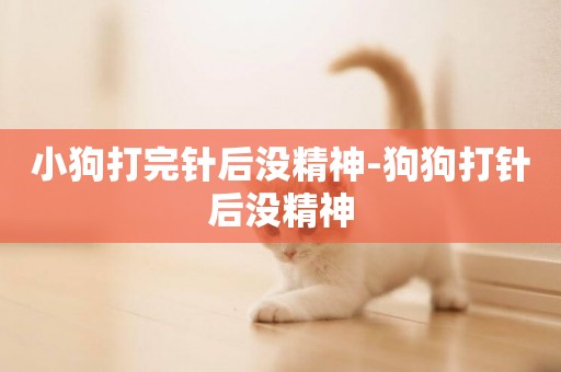 小狗打完針后沒精神-狗狗打針后沒精神