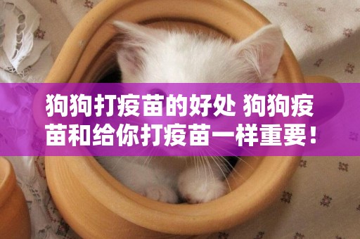 狗狗打疫苗的好處 狗狗疫苗和給你打疫苗一樣重要！