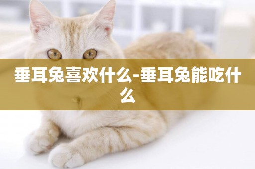垂耳兔喜歡什么-垂耳兔能吃什么