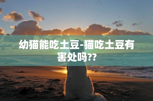 幼貓能吃土豆-貓吃土豆有害處嗎??
