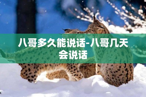 八哥多久能說話-八哥幾天會說話