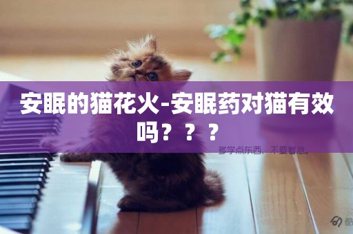 安眠的貓花火-安眠藥對貓有效嗎？？？