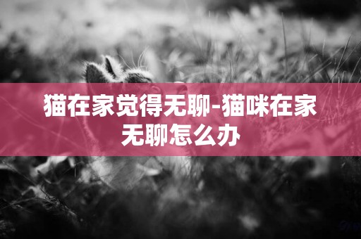 貓在家覺得無聊-貓咪在家無聊怎么辦