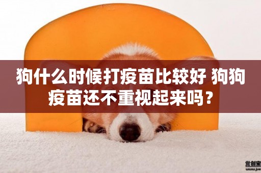 狗什么時候打疫苗比較好 狗狗疫苗還不重視起來嗎？