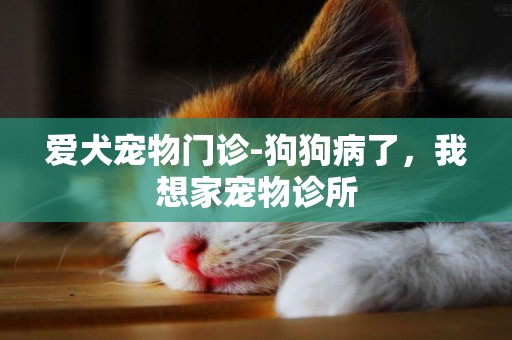 愛犬寵物門診-狗狗病了，我想家寵物診所