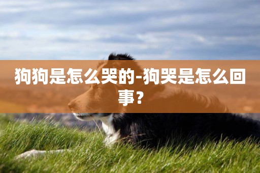 狗狗是怎么哭的-狗哭是怎么回事？