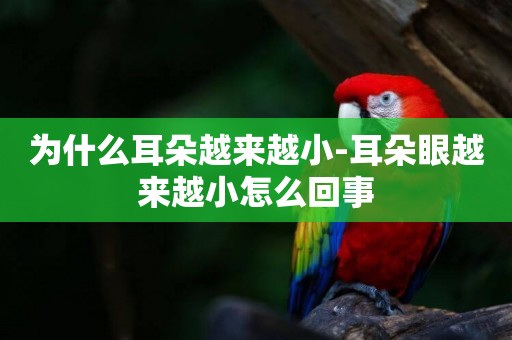 為什么耳朵越來越小-耳朵眼越來越小怎么回事