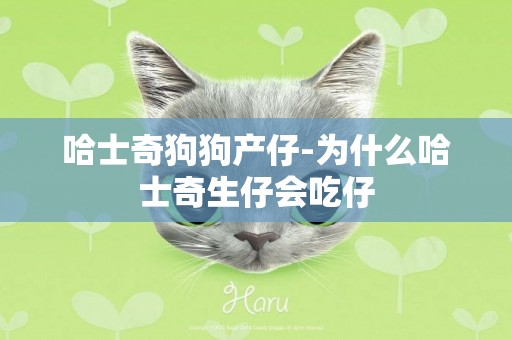 哈士奇狗狗產仔-為什么哈士奇生仔會吃仔