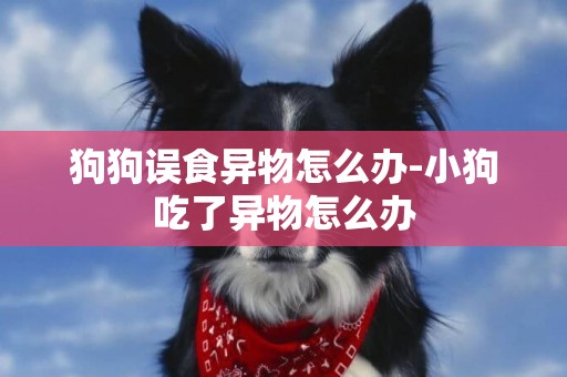 狗狗誤食異物怎么辦-小狗吃了異物怎么辦