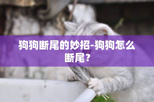 狗狗斷尾的妙招-狗狗怎么斷尾？