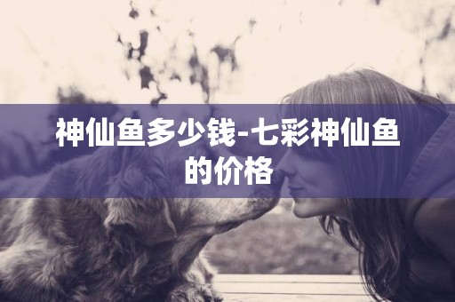 神仙魚多少錢-七彩神仙魚的價格