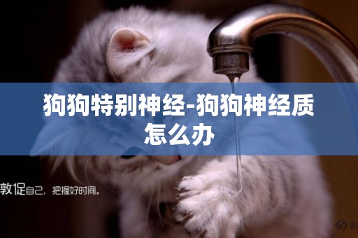 狗狗特別神經-狗狗神經質怎么辦