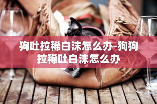 狗吐拉稀白沫怎么辦-狗狗拉稀吐白沫怎么辦