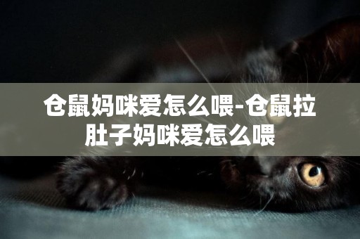 倉鼠媽咪愛怎么喂-倉鼠拉肚子媽咪愛怎么喂
