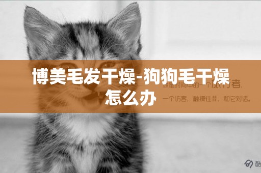 博美毛發干燥-狗狗毛干燥怎么辦