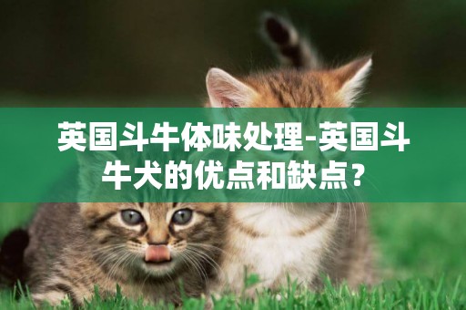 英國斗牛體味處理-英國斗牛犬的優點和缺點？