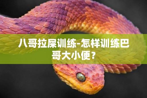 八哥拉屎訓練-怎樣訓練巴哥大小便？