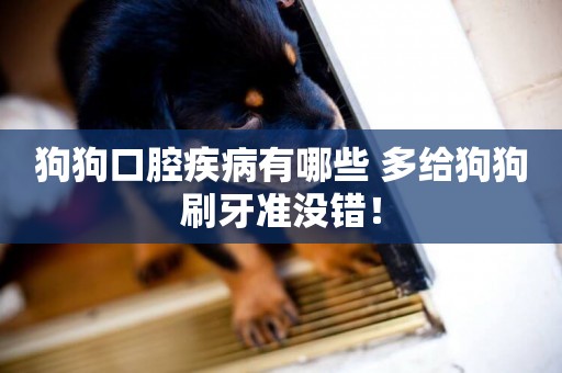 狗狗口腔疾病有哪些 多給狗狗刷牙準沒錯！