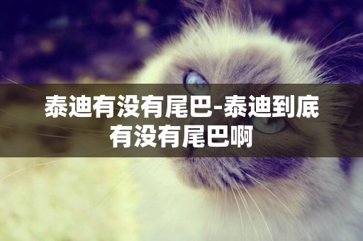 泰迪有沒有尾巴-泰迪到底有沒有尾巴啊