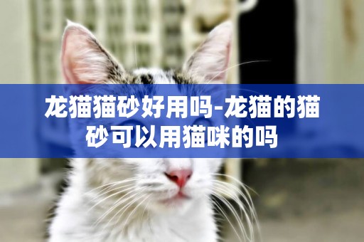 龍貓貓砂好用嗎-龍貓的貓砂可以用貓咪的嗎