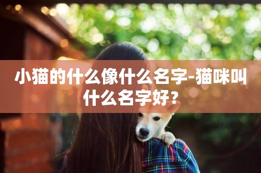 小貓的什么像什么名字-貓咪叫什么名字好？