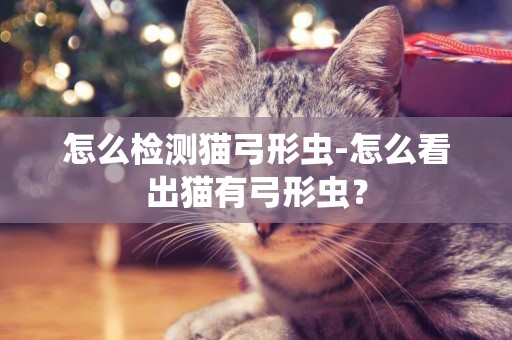 怎么檢測貓弓形蟲-怎么看出貓有弓形蟲？