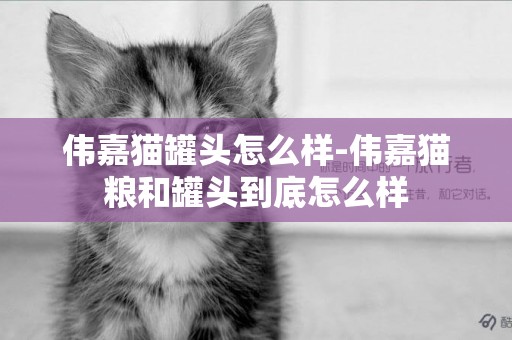偉嘉貓罐頭怎么樣-偉嘉貓糧和罐頭到底怎么樣