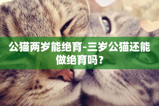 公貓兩歲能絕育-三歲公貓還能做絕育嗎？