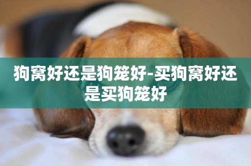 狗窩好還是狗籠好-買狗窩好還是買狗籠好
