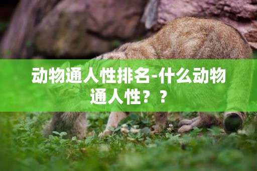 動物通人性排名-什么動物通人性？？