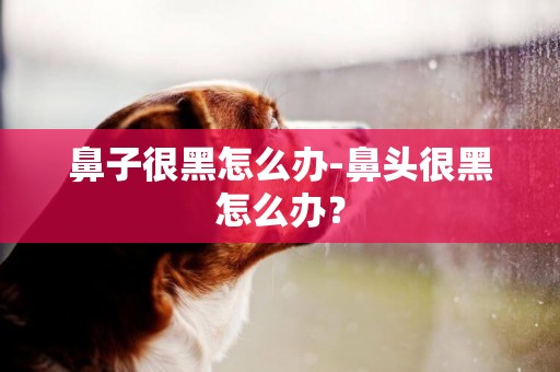 鼻子很黑怎么辦-鼻頭很黑怎么辦？