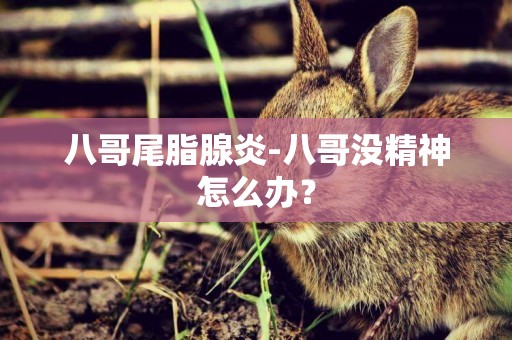 八哥尾脂腺炎-八哥沒精神怎么辦？