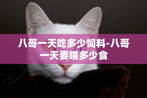 八哥一天吃多少飼料-八哥一天要喂多少食