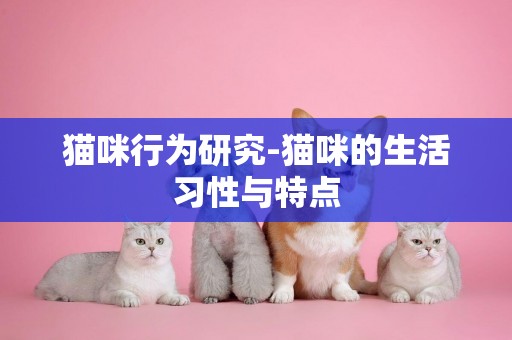貓咪行為研究-貓咪的生活習性與特點