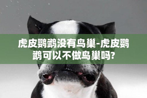 虎皮鸚鵡沒有鳥巢-虎皮鸚鵡可以不做鳥巢嗎?