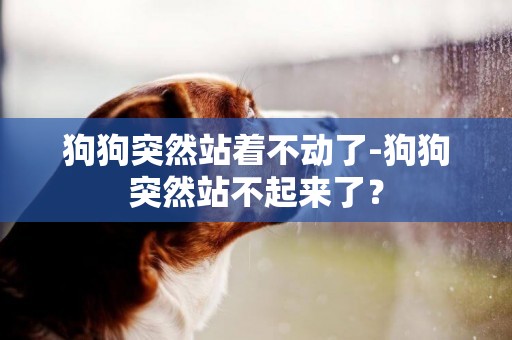 狗狗突然站著不動了-狗狗突然站不起來了？