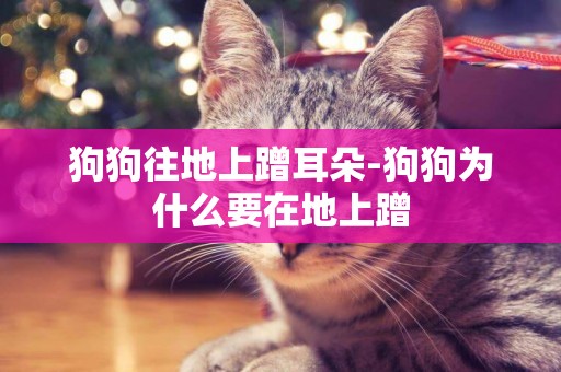 狗狗往地上蹭耳朵-狗狗為什么要在地上蹭