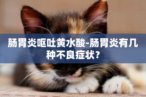 腸胃炎嘔吐黃水酸-腸胃炎有幾種不良癥狀？