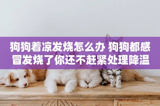 狗狗著涼發燒怎么辦 狗狗都感冒發燒了你還不趕緊處理降溫