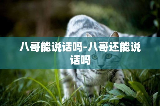 八哥能說話嗎-八哥還能說話嗎