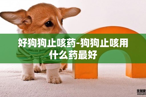 好狗狗止咳藥-狗狗止咳用什么藥最好