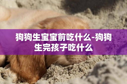 狗狗生寶寶前吃什么-狗狗生完孩子吃什么