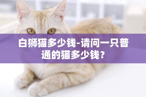 白獅貓多少錢-請問一只普通的貓多少錢？