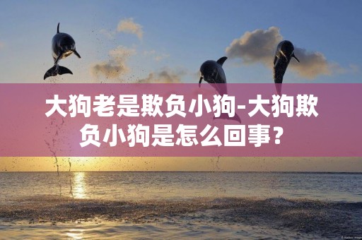 大狗老是欺負小狗-大狗欺負小狗是怎么回事？