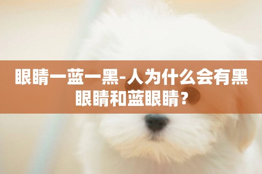 眼睛一藍一黑-人為什么會有黑眼睛和藍眼睛？