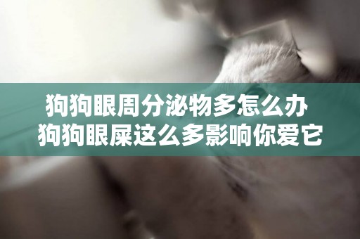 狗狗眼周分泌物多怎么辦 狗狗眼屎這么多影響你愛它嗎？