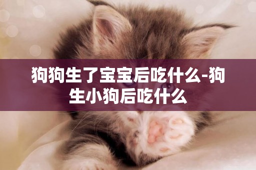 狗狗生了寶寶后吃什么-狗生小狗后吃什么