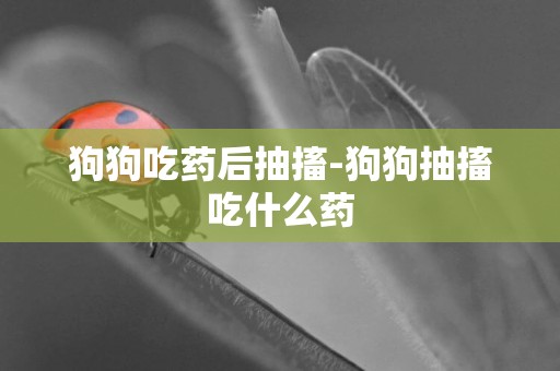 狗狗吃藥后抽搐-狗狗抽搐吃什么藥